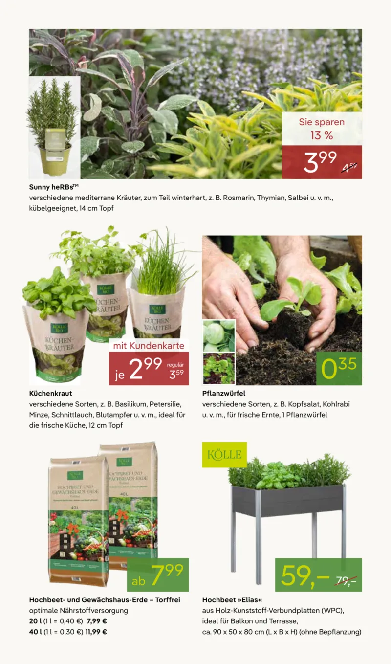 Pflanzen Kölle Prospekt vom 02.03.2026, Seite 8