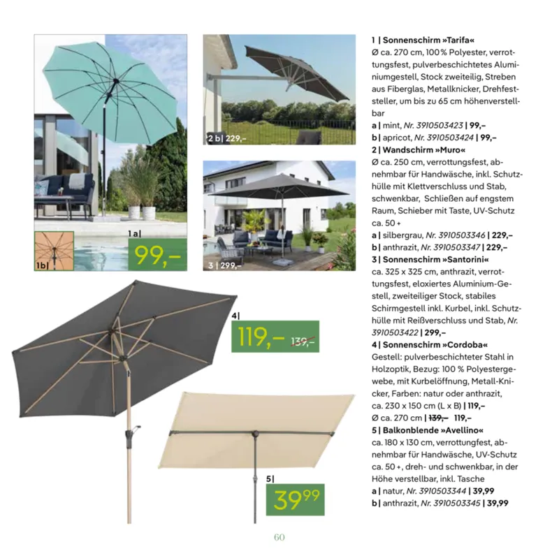 Pflanzen Kölle Prospekt vom 07.03.2026, Seite 60