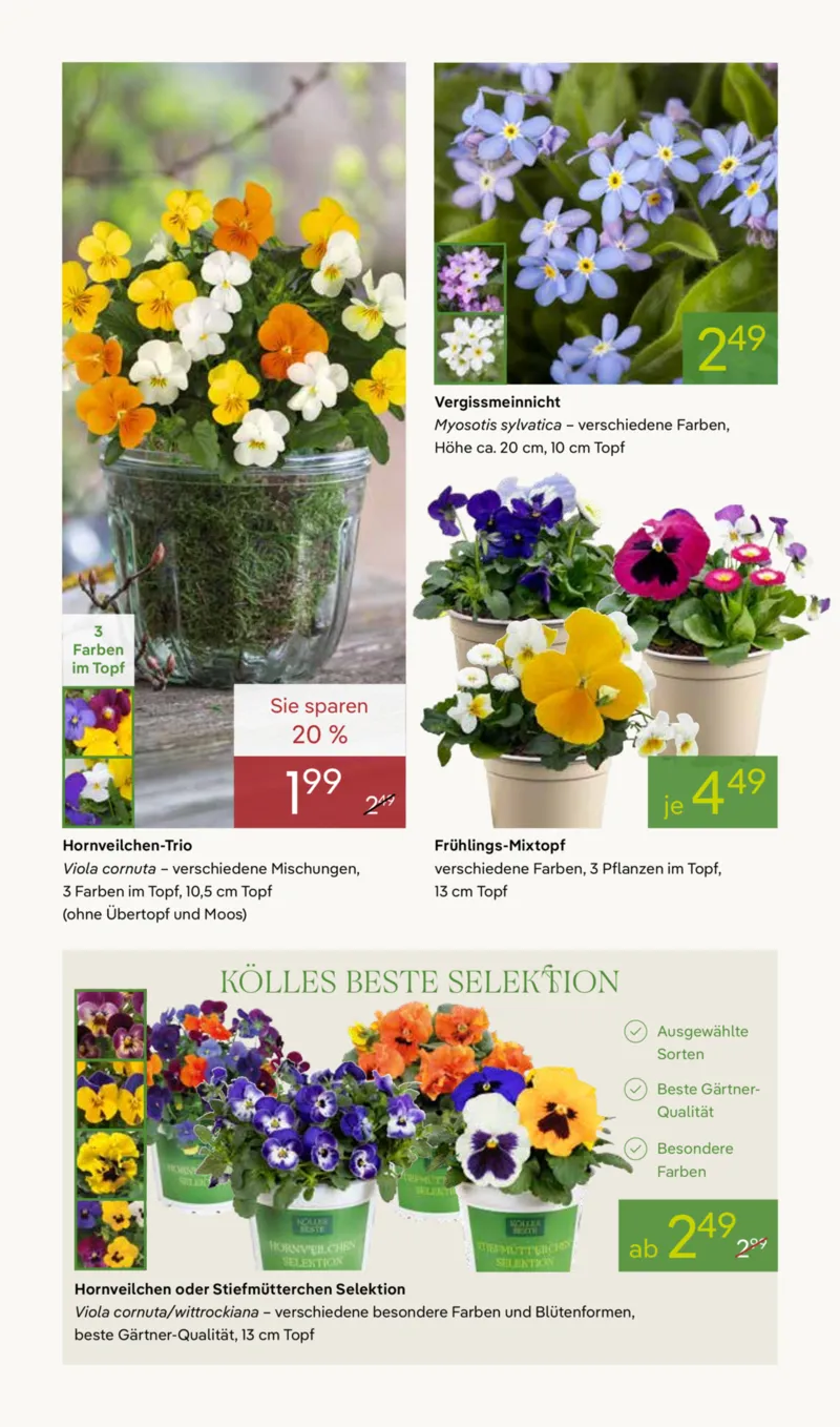 Pflanzen Kölle Prospekt vom 16.03.2026, Seite 2