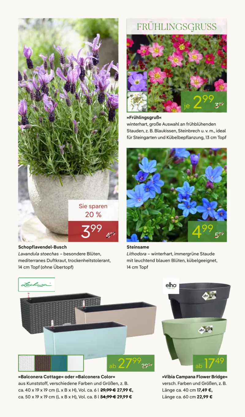 Pflanzen Kölle Prospekt vom 16.03.2026, Seite 4