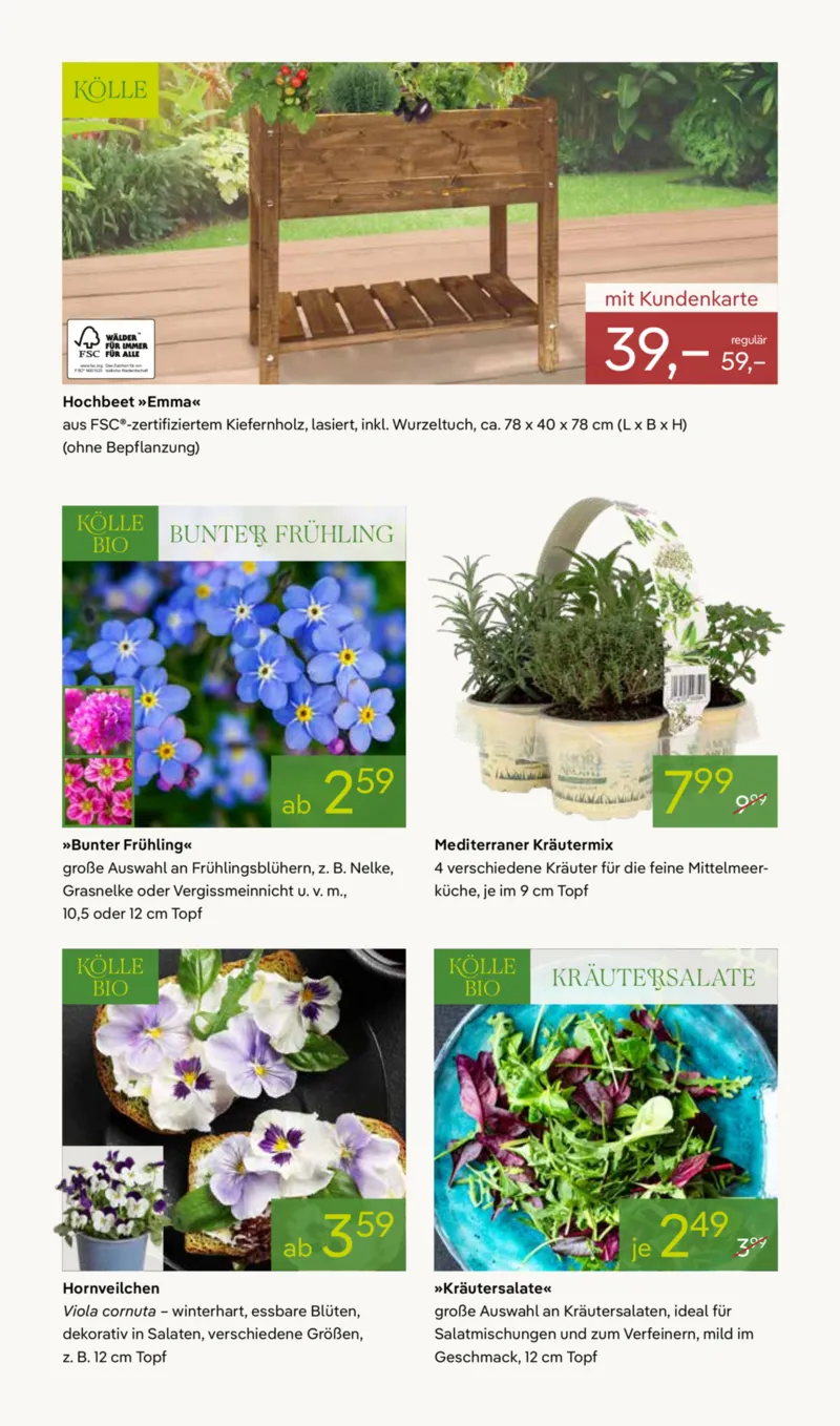 Pflanzen Kölle Prospekt vom 16.03.2026, Seite 6