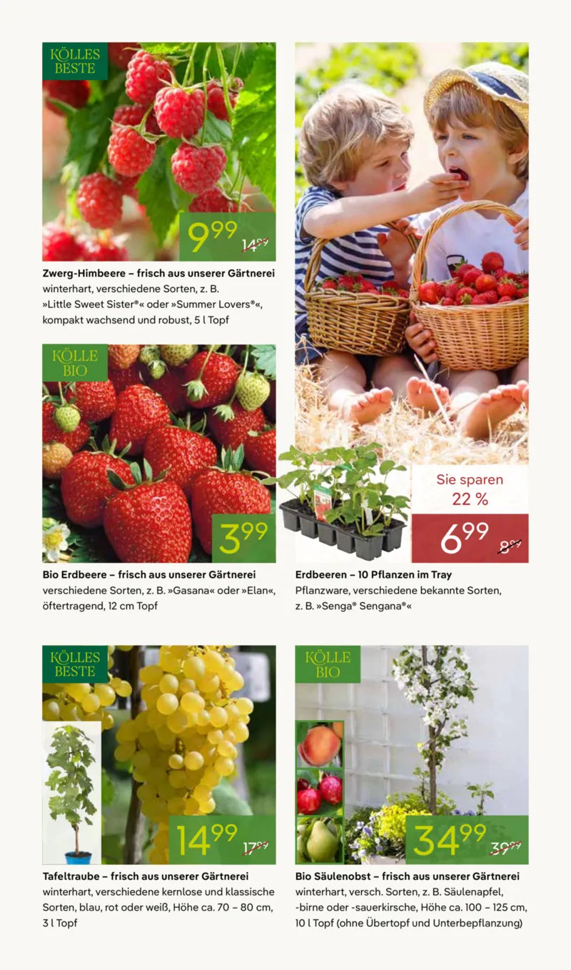 Pflanzen Kölle Prospekt vom 16.03.2026, Seite 7