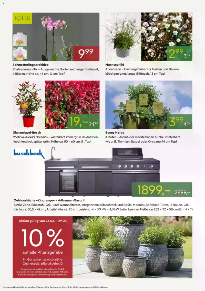 Pflanzen Kölle Prospekt vom 23.03.2026, Seite 2