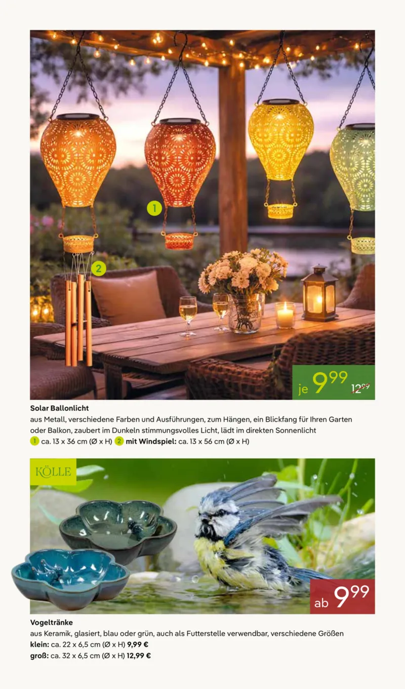 Pflanzen Kölle Prospekt vom 30.03.2026, Seite 12