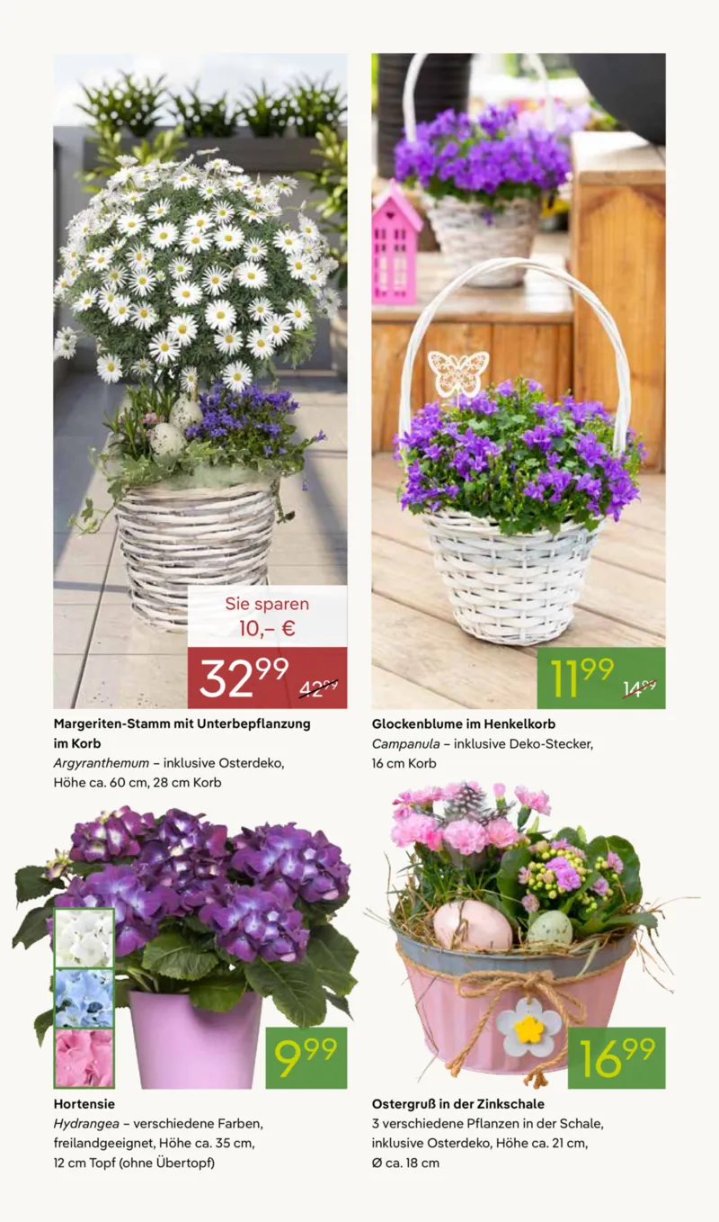 Pflanzen Kölle Prospekt vom 30.03.2026, Seite 2