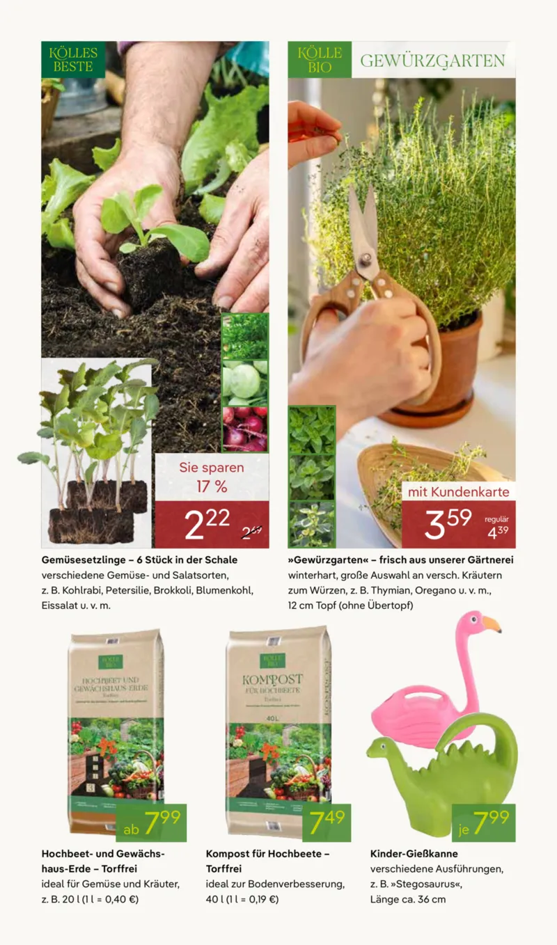 Pflanzen Kölle Prospekt vom 30.03.2026, Seite 6