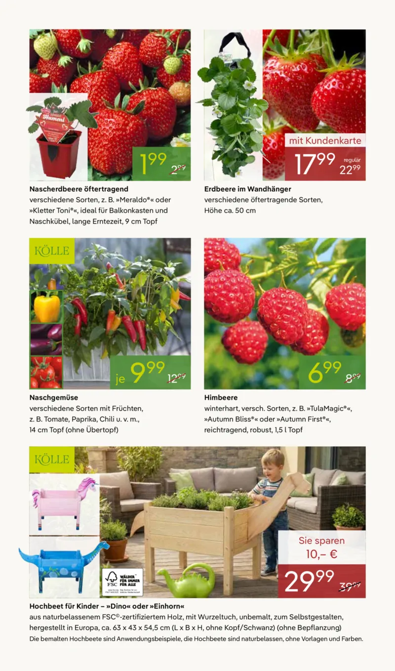 Pflanzen Kölle Prospekt vom 30.03.2026, Seite 7