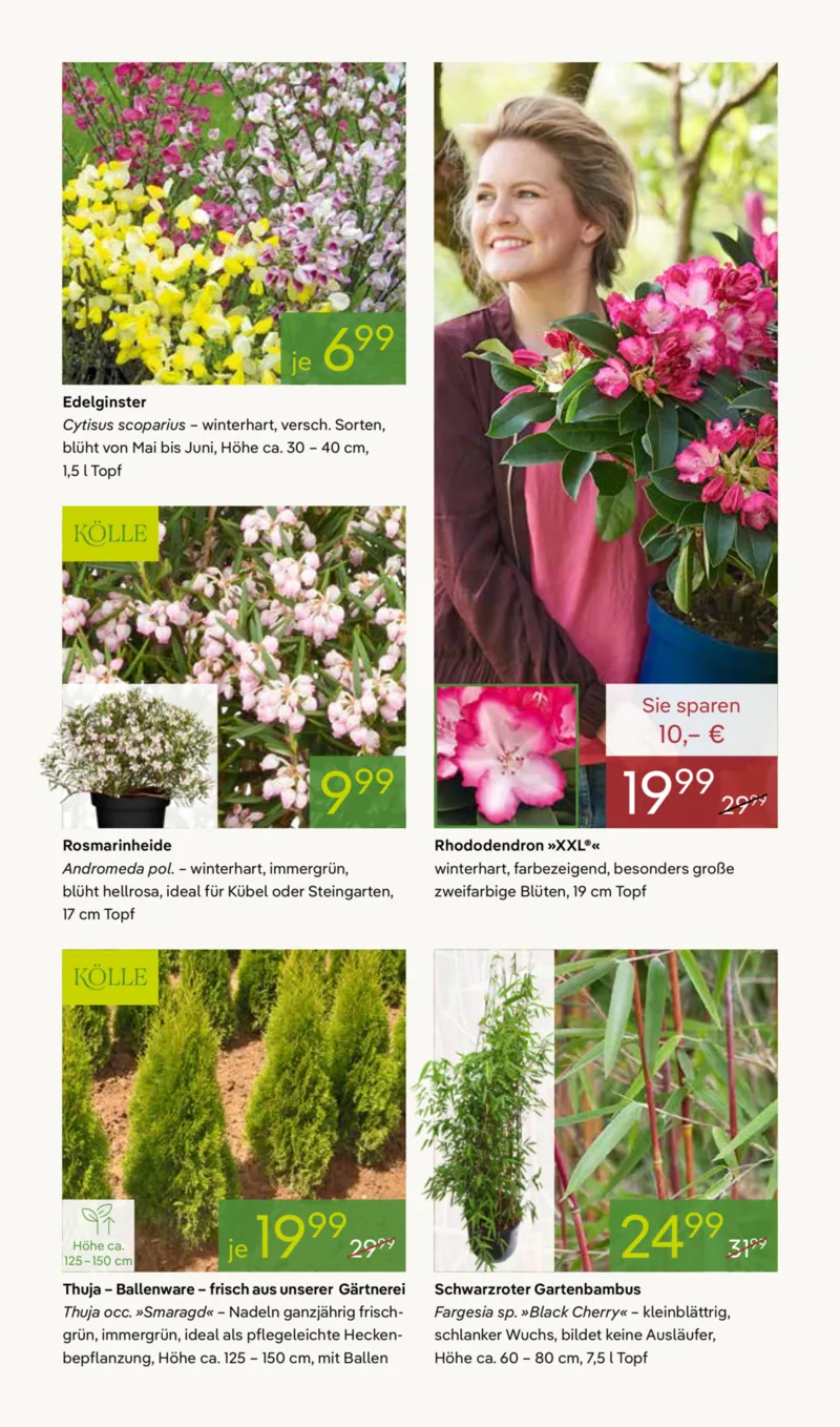 Pflanzen Kölle Prospekt vom 30.03.2026, Seite 9