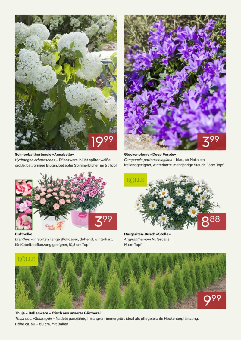 Pflanzen Kölle Prospekt vom 01.04.2026, Seite 2