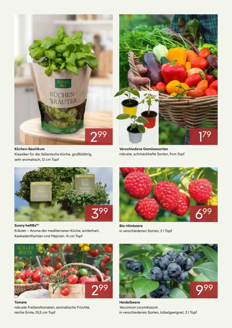 Pflanzen Kölle Prospekt vom 01.04.2026, Seite 3