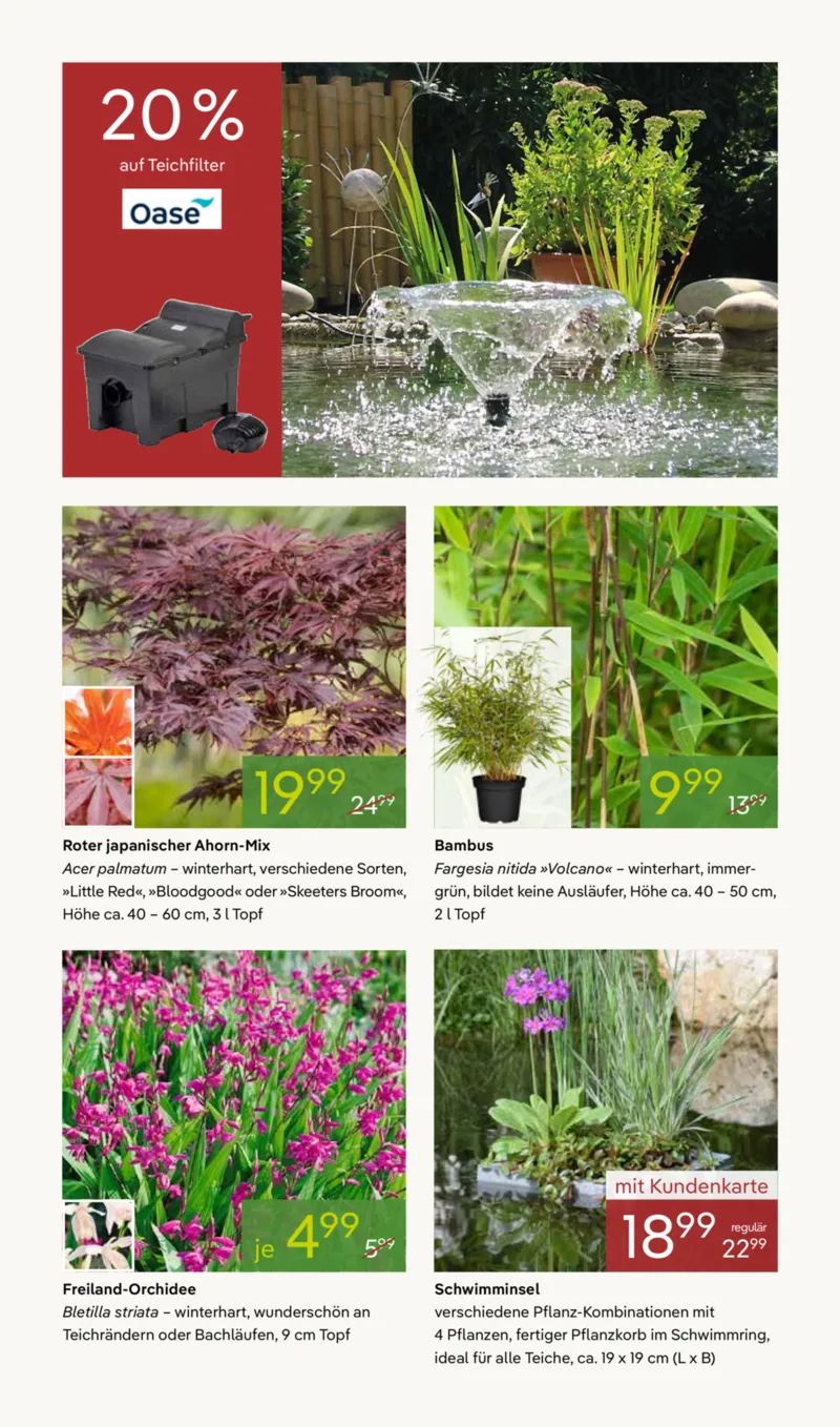 Pflanzen Kölle Prospekt vom 07.04.2026, Seite 10