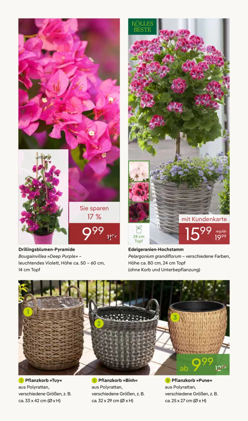 Pflanzen Kölle Prospekt vom 07.04.2026, Seite 2