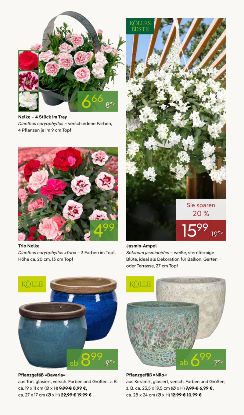 Pflanzen Kölle Prospekt vom 07.04.2026, Seite 5