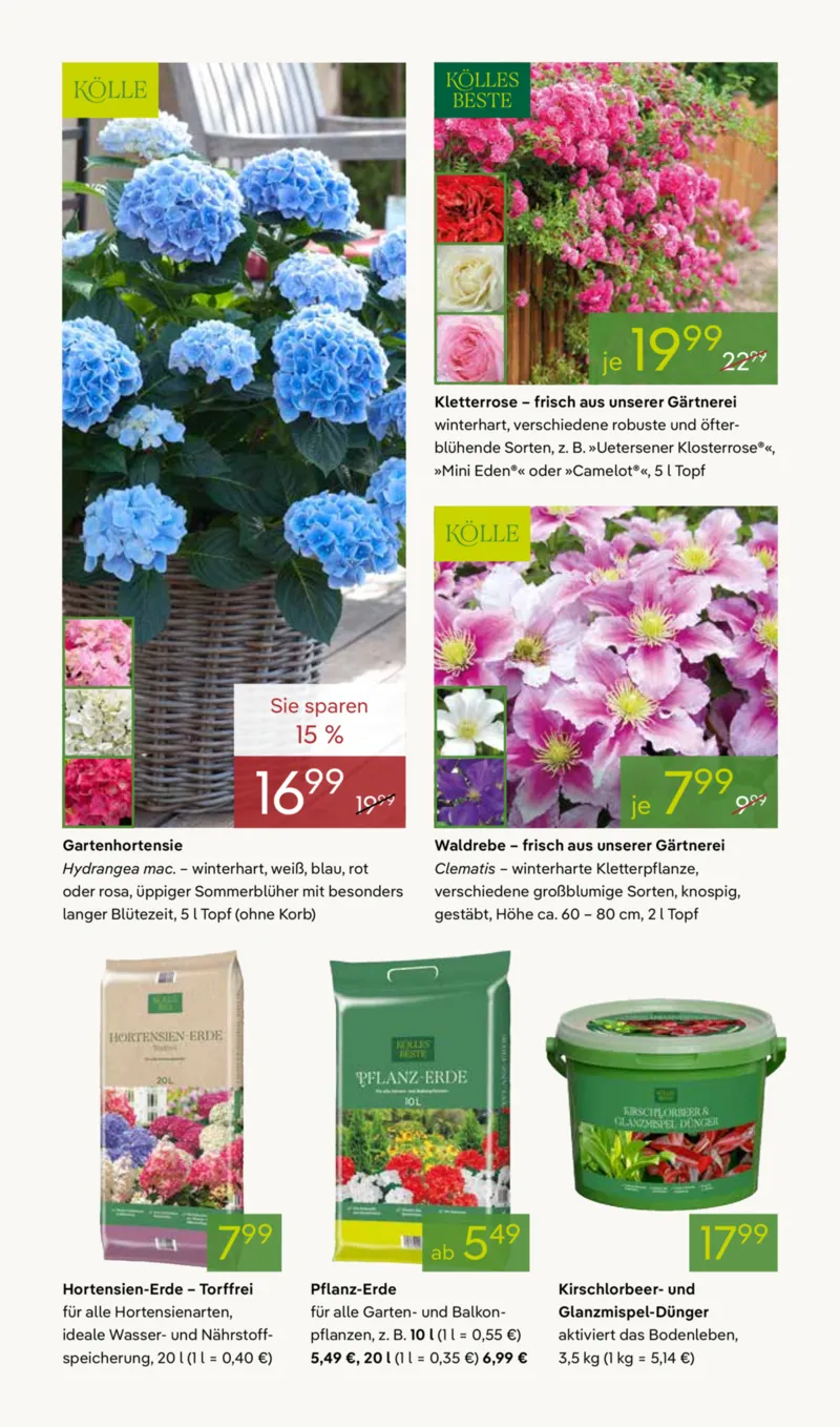 Pflanzen Kölle Prospekt vom 07.04.2026, Seite 6