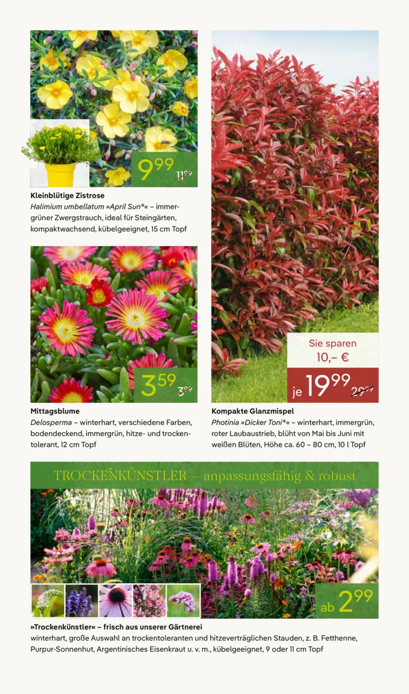 Pflanzen Kölle Prospekt vom 07.04.2026, Seite 7