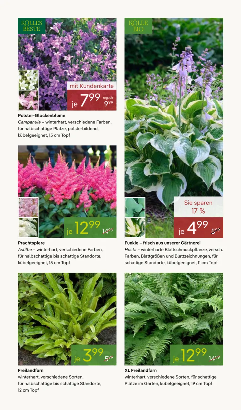 Pflanzen Kölle Prospekt vom 13.04.2026, Seite 11