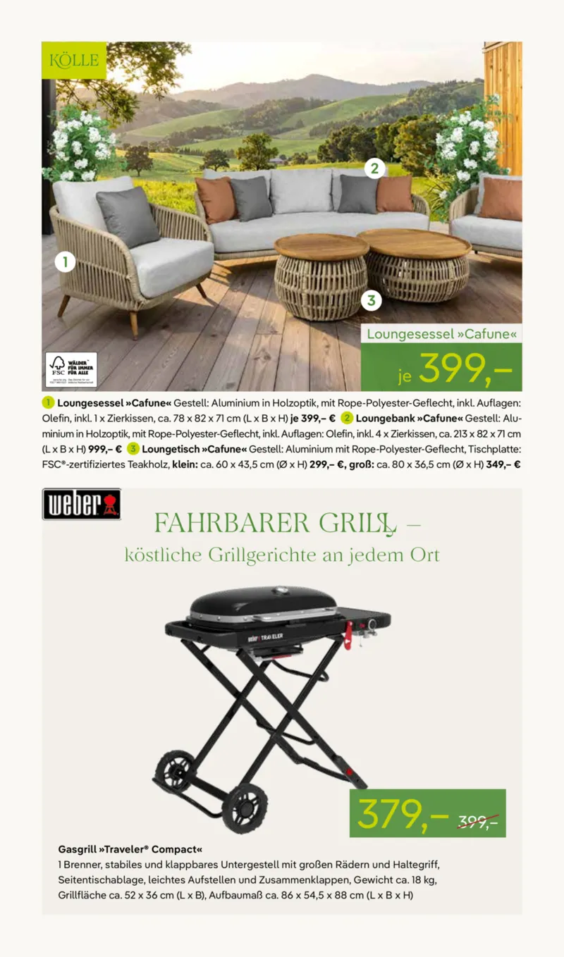 Pflanzen Kölle Prospekt vom 13.04.2026, Seite 13