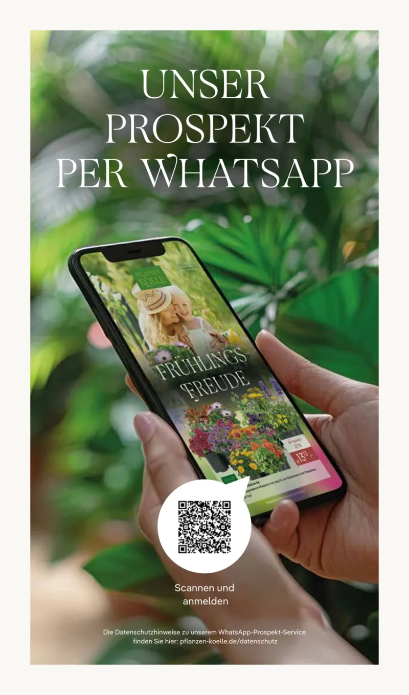 Pflanzen Kölle Prospekt vom 13.04.2026, Seite 14