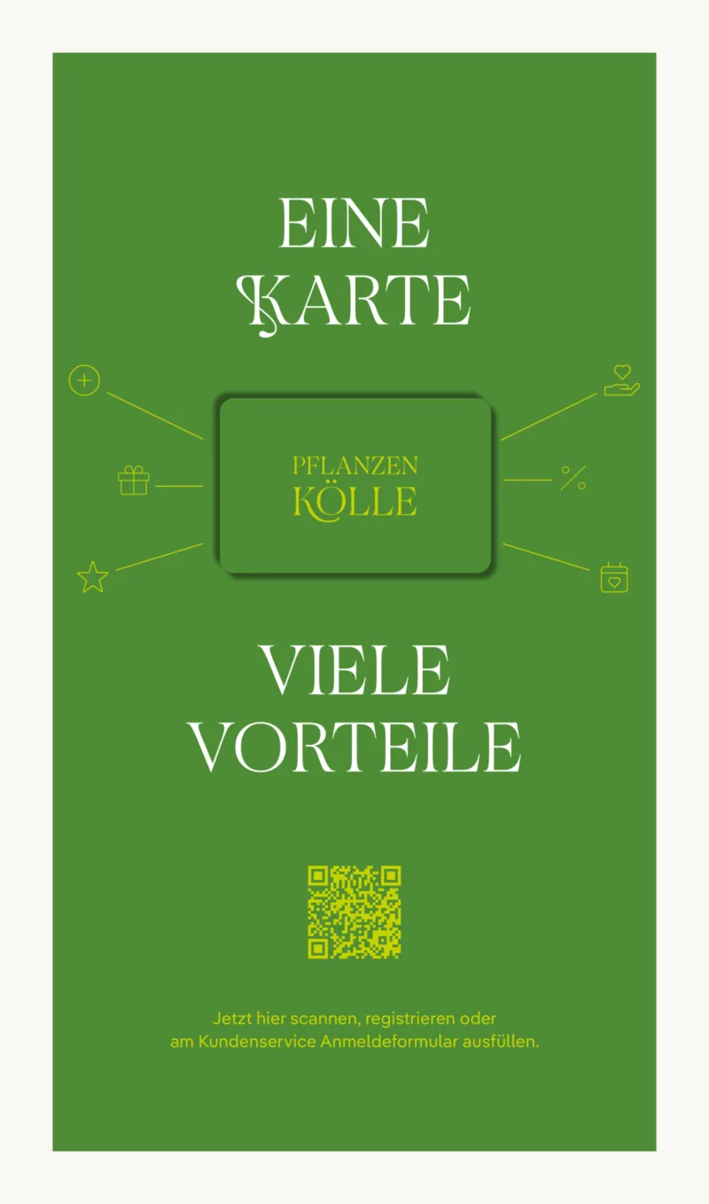 Pflanzen Kölle Prospekt vom 13.04.2026, Seite 15