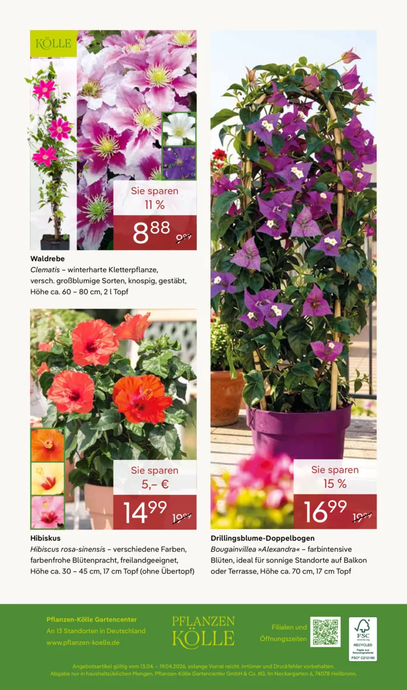 Pflanzen Kölle Prospekt vom 13.04.2026, Seite 16