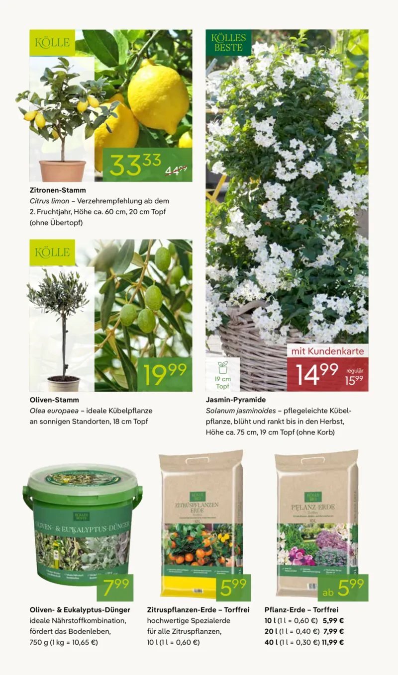 Pflanzen Kölle Prospekt vom 13.04.2026, Seite 3