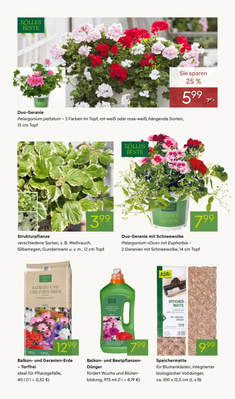 Pflanzen Kölle Prospekt vom 13.04.2026, Seite 4