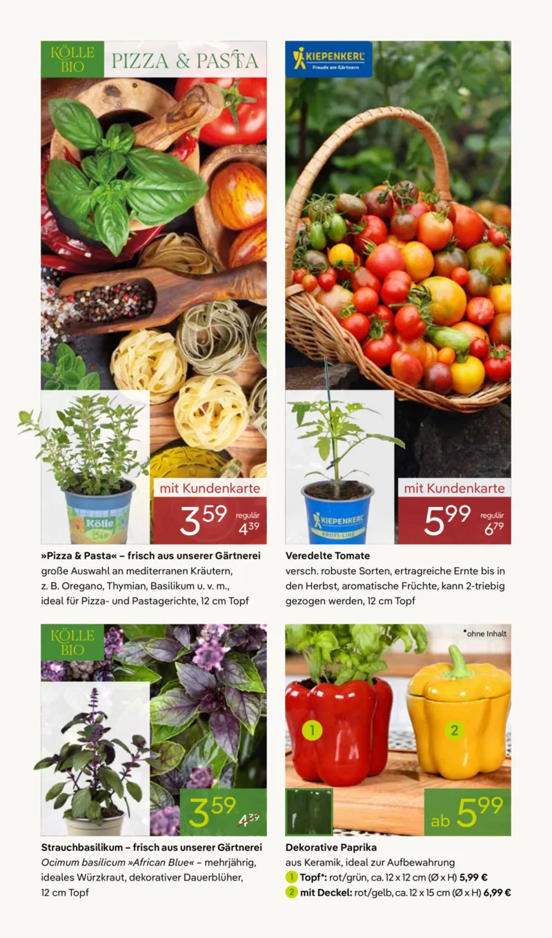 Pflanzen Kölle Prospekt vom 13.04.2026, Seite 6