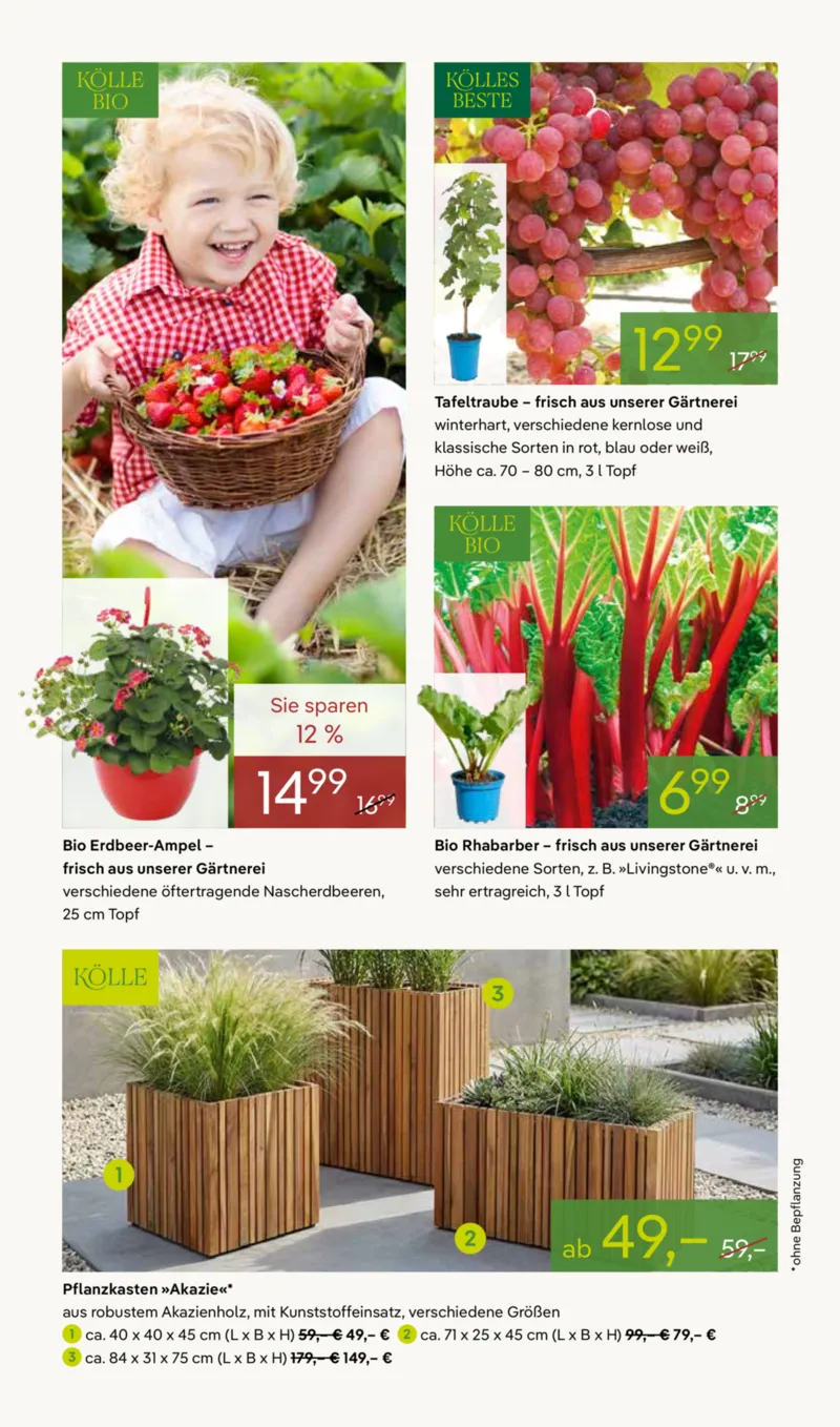 Pflanzen Kölle Prospekt vom 13.04.2026, Seite 8