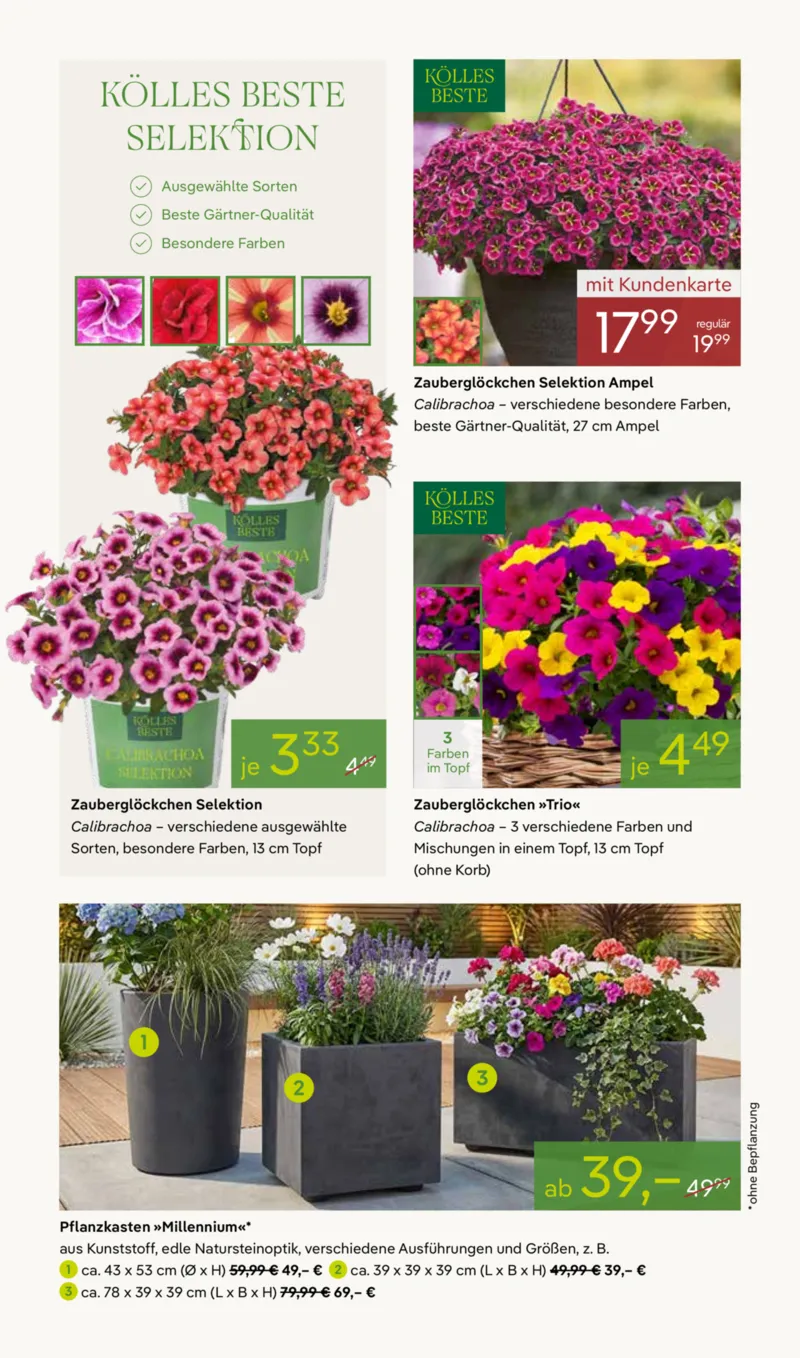 Pflanzen Kölle Prospekt vom 20.04.2026, Seite 2