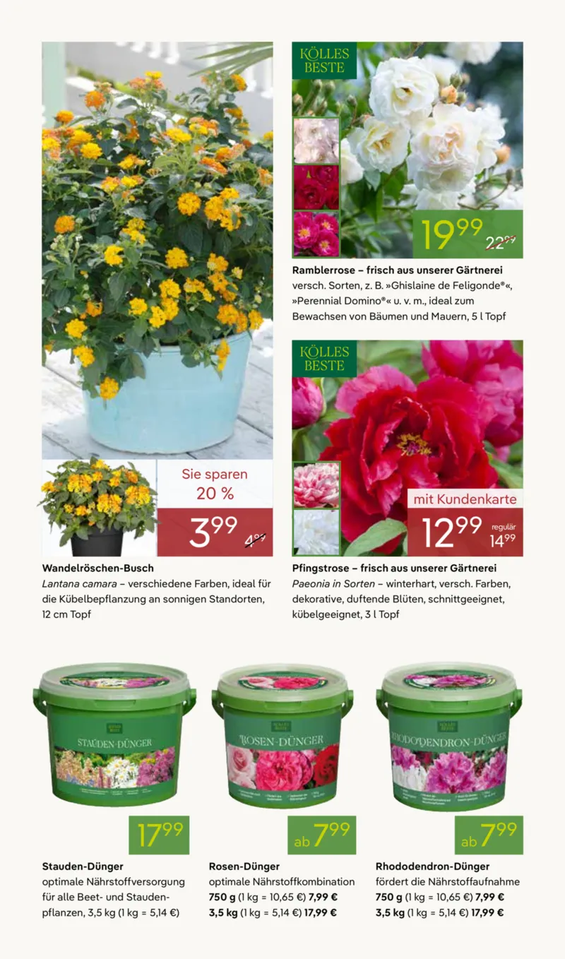 Pflanzen Kölle Prospekt vom 20.04.2026, Seite 4