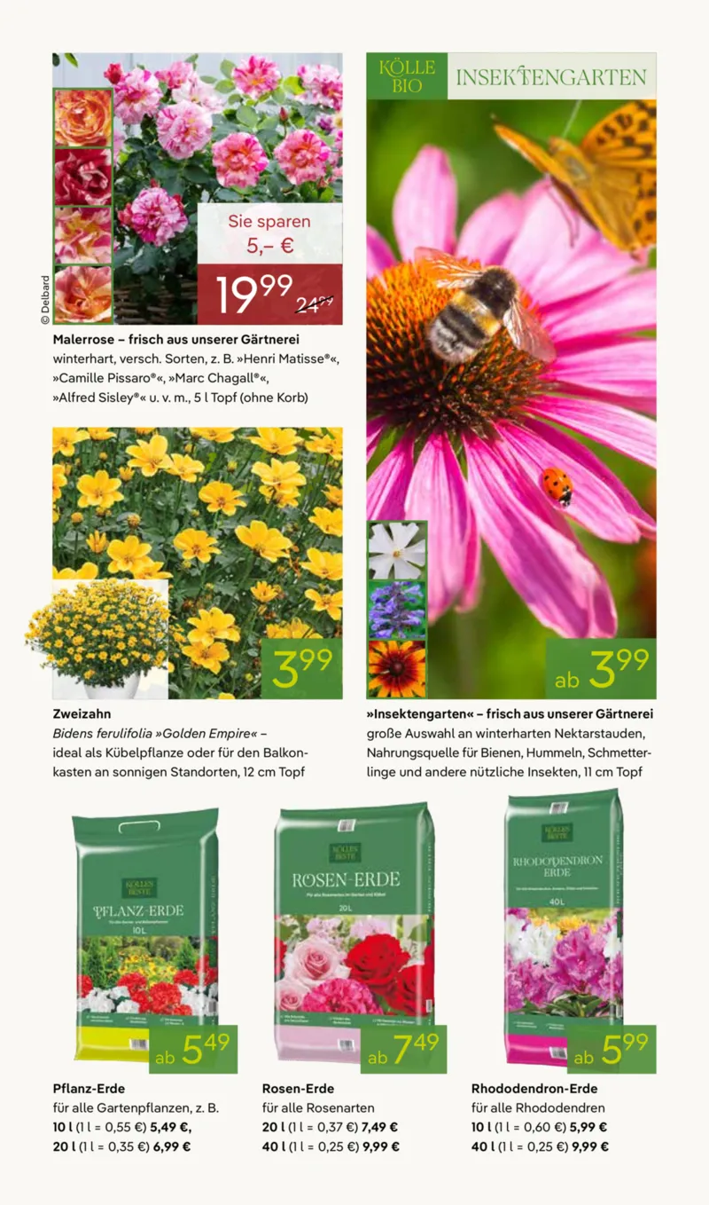 Pflanzen Kölle Prospekt vom 20.04.2026, Seite 5