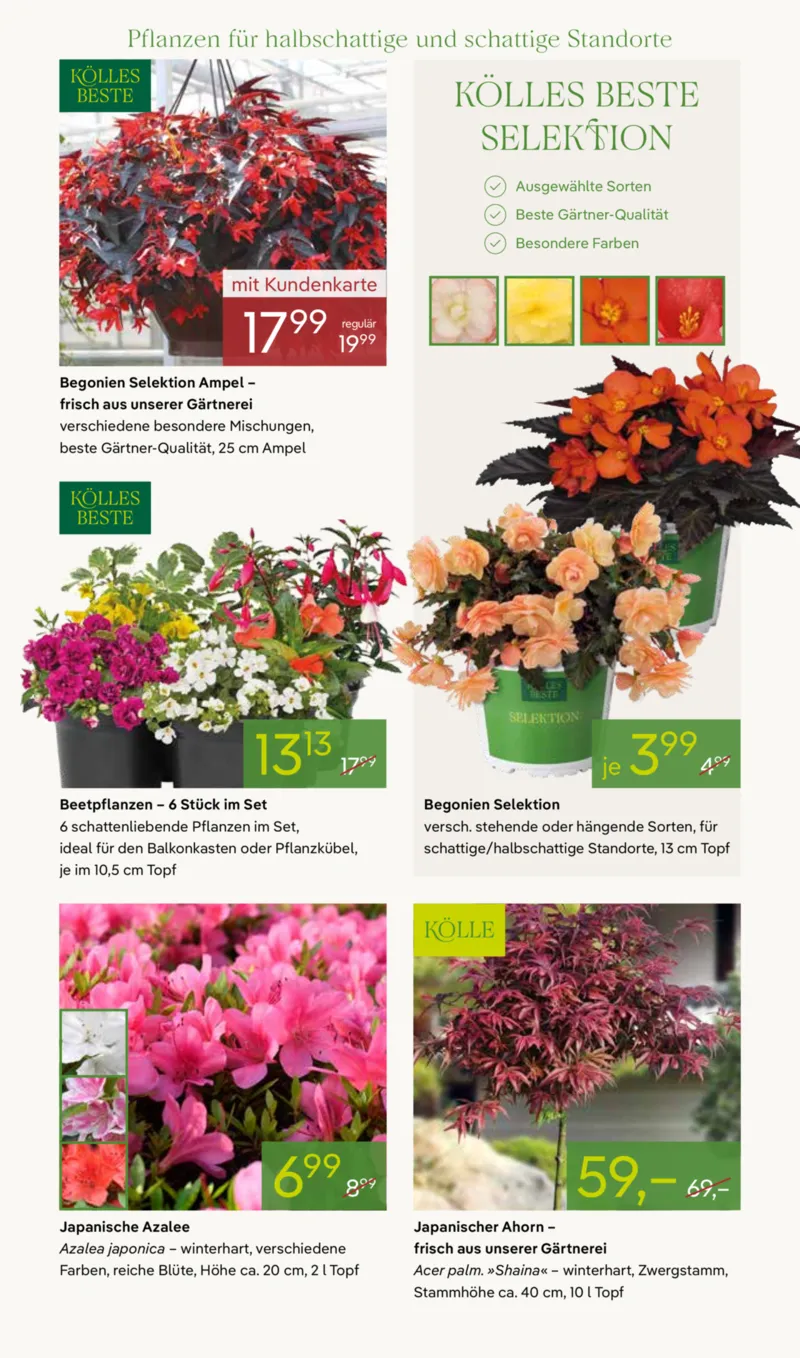 Pflanzen Kölle Prospekt vom 20.04.2026, Seite 7