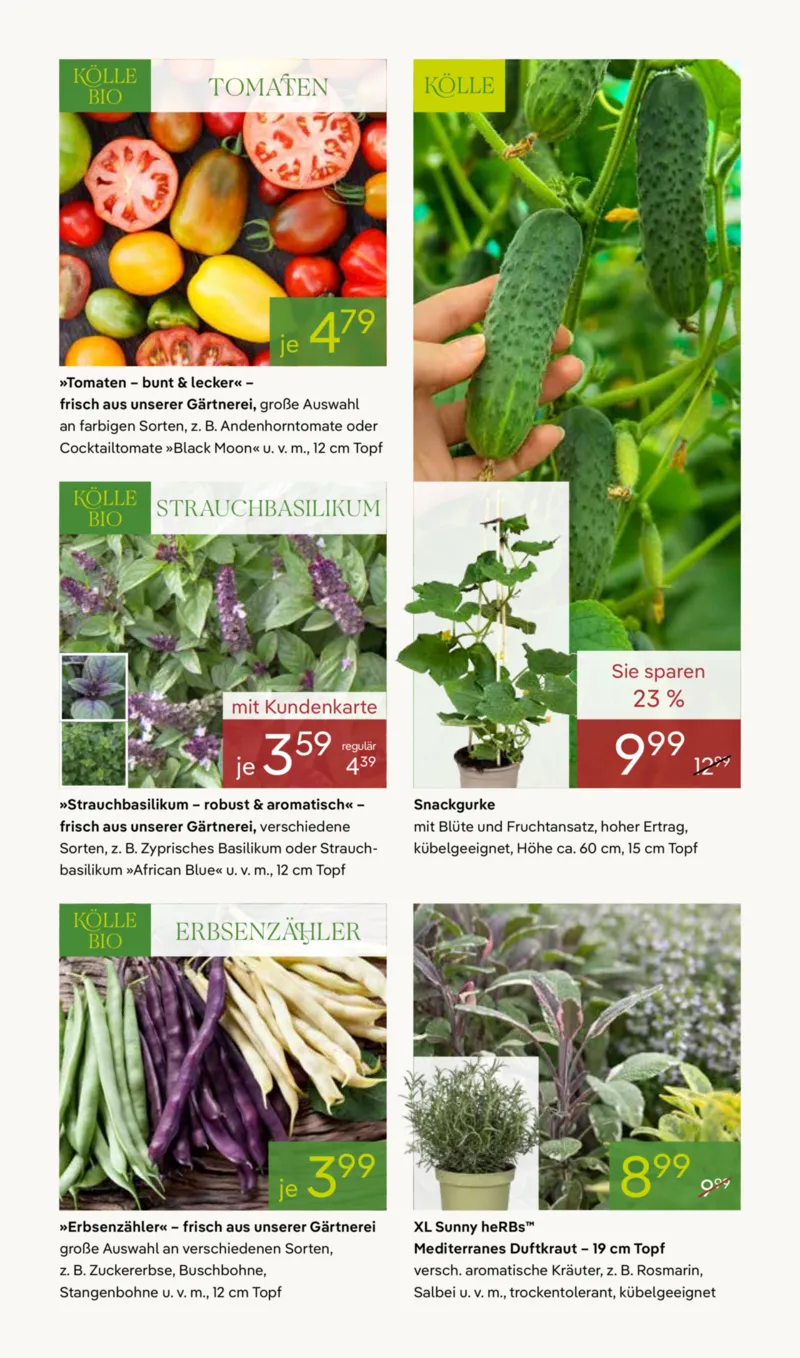 Pflanzen Kölle Prospekt vom 20.04.2026, Seite 9