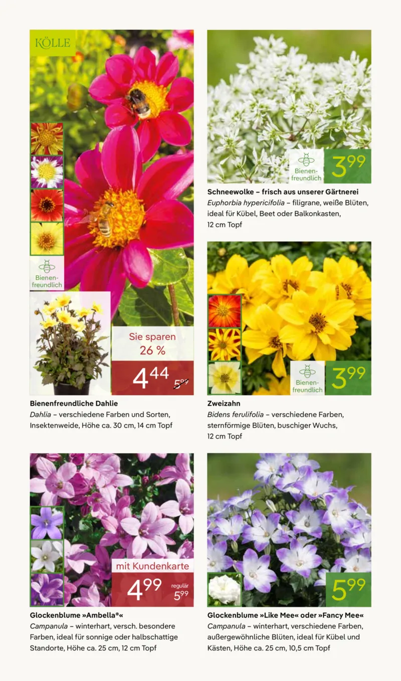 Pflanzen Kölle Prospekt vom 27.04.2026, Seite 2
