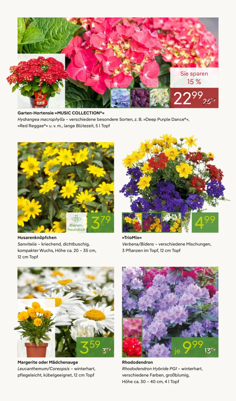 Pflanzen Kölle Prospekt vom 27.04.2026, Seite 3