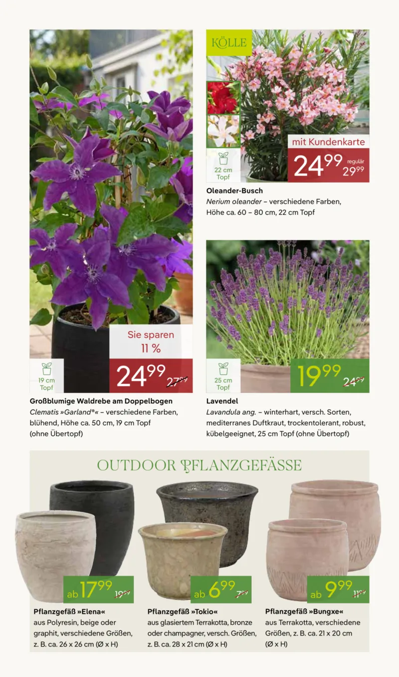 Pflanzen Kölle Prospekt vom 27.04.2026, Seite 4