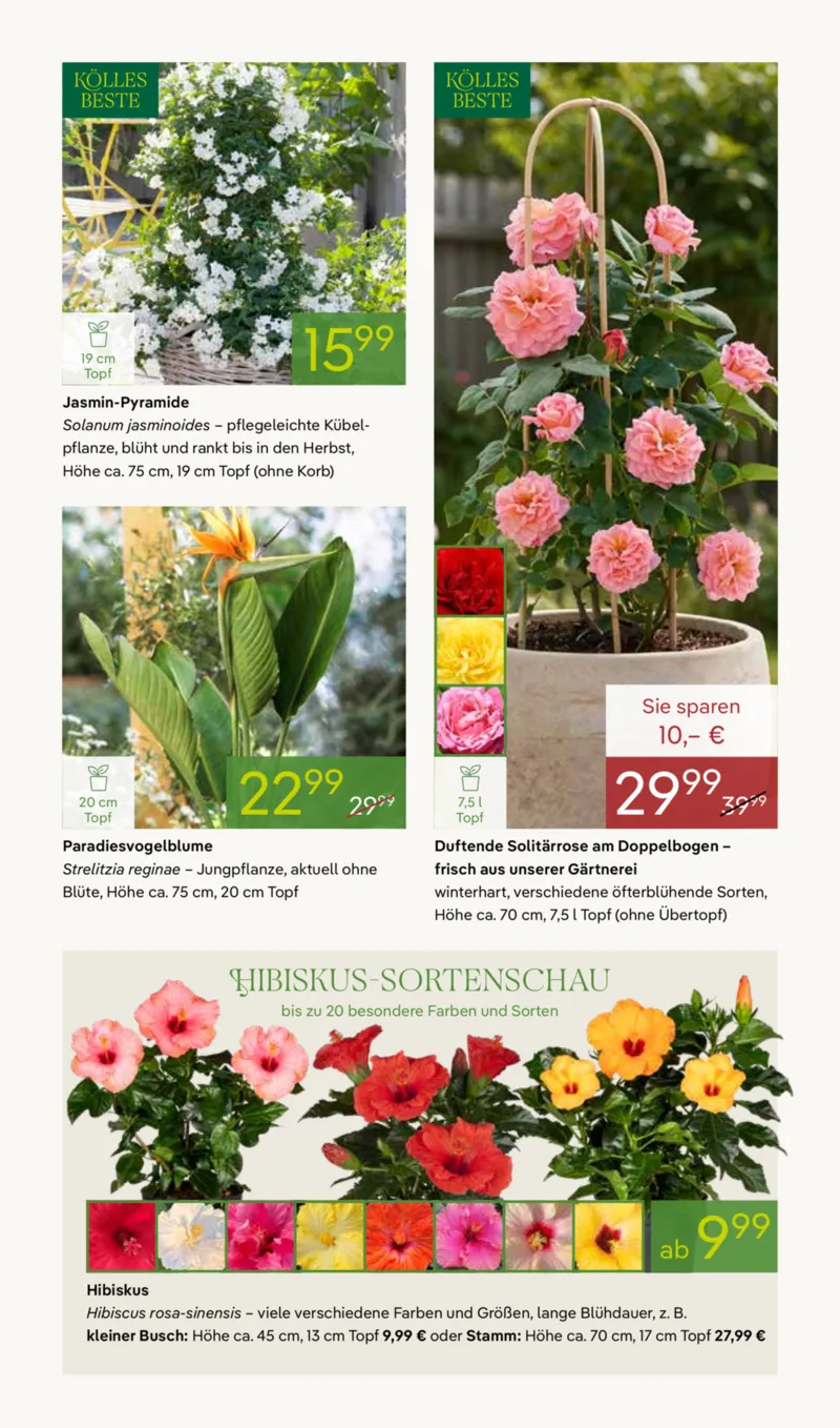 Pflanzen Kölle Prospekt vom 27.04.2026, Seite 5