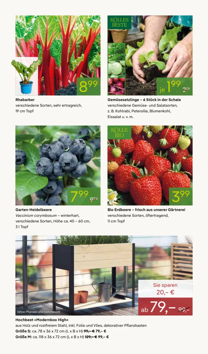 Pflanzen Kölle Prospekt vom 27.04.2026, Seite 6