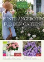 Pflanzen Kölle Prospekt vom 02.05.2026