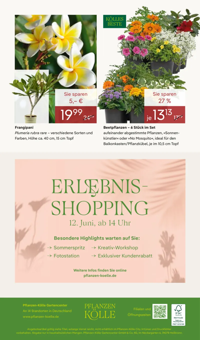 Pflanzen Kölle Prospekt vom 26.05.2026, Seite 10