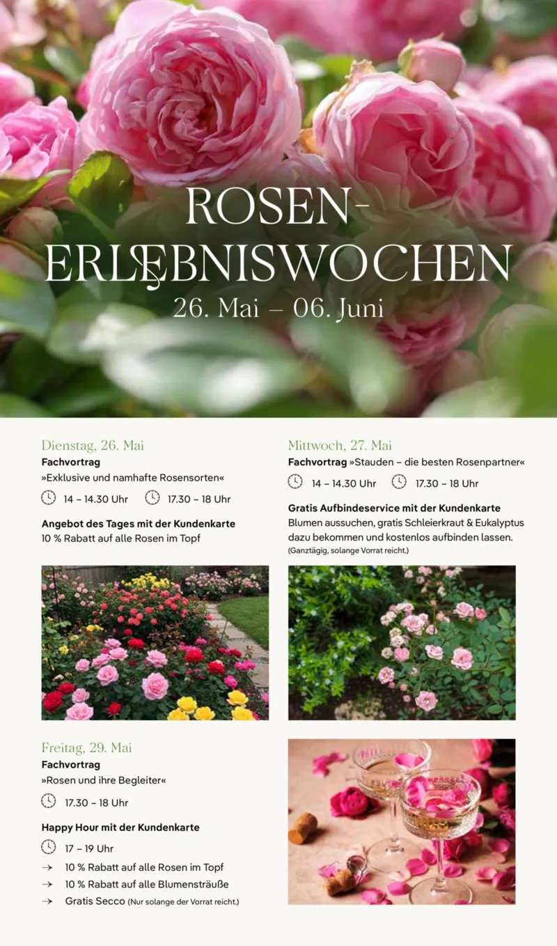 Pflanzen Kölle Prospekt vom 26.05.2026, Seite 8