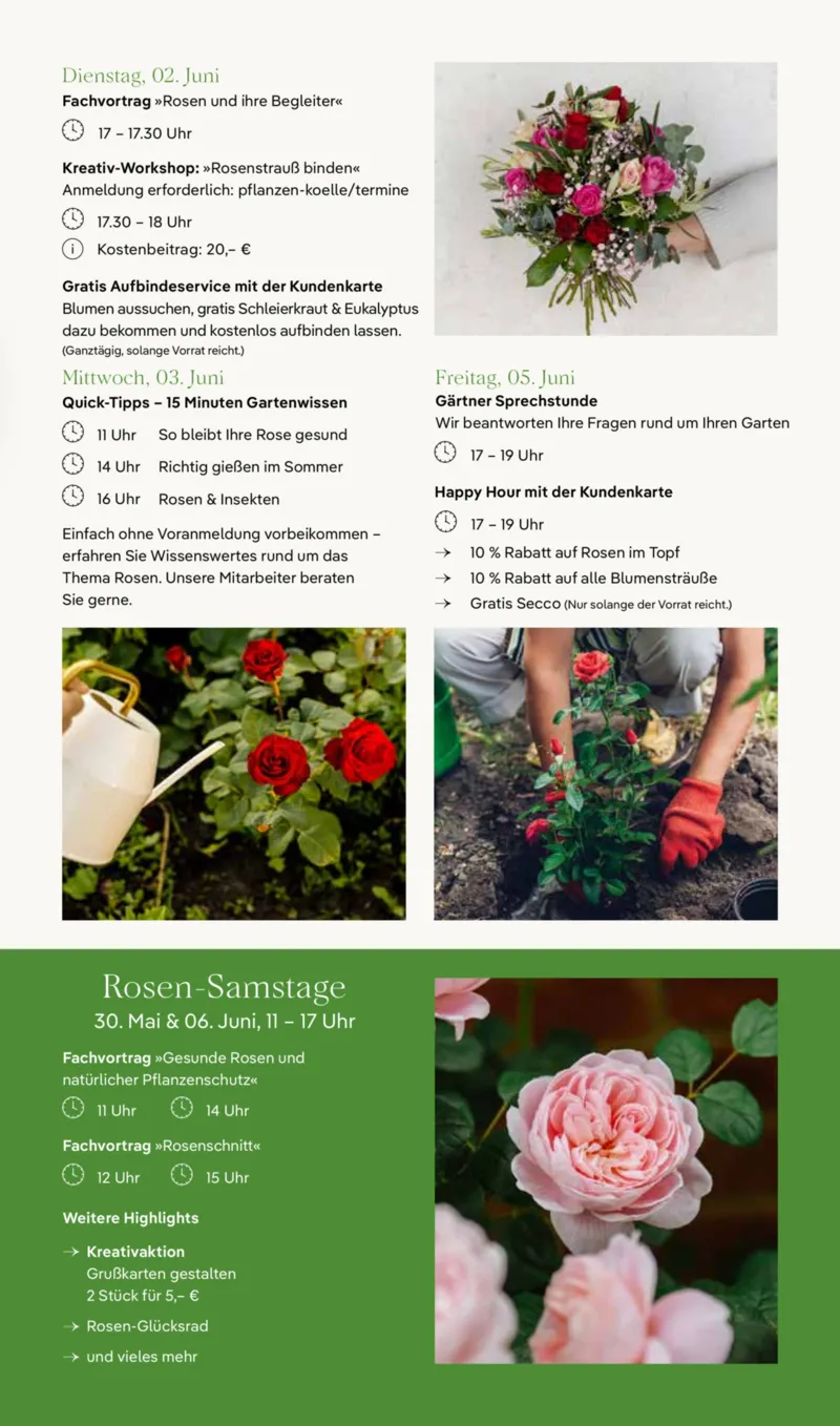 Pflanzen Kölle Prospekt vom 26.05.2026, Seite 9