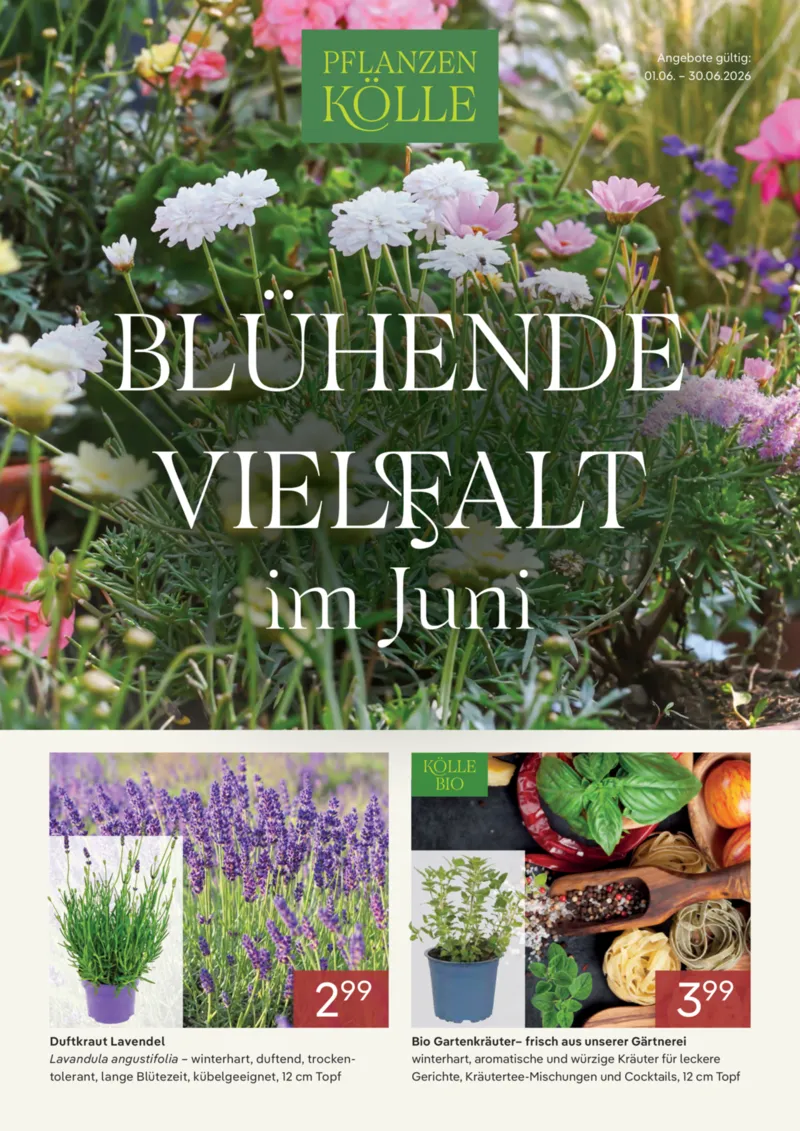 Pflanzen Kölle Prospekt vom 01.06.2026, Seite 1