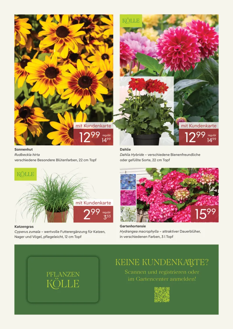 Pflanzen Kölle Prospekt vom 01.07.2026, Seite 3
