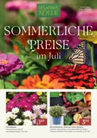 Pflanzen Kölle Prospekt vom 01.07.2026