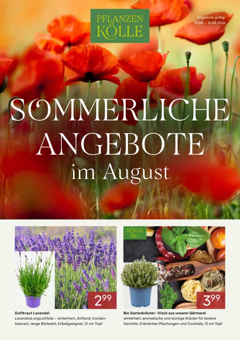 Pflanzen Kölle Prospekt vom 01.08.2026, Seite 1