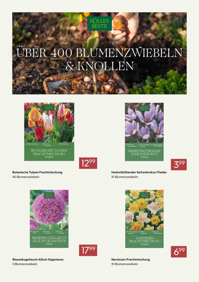 Pflanzen Kölle Prospekt vom 07.09.2026, Seite 11