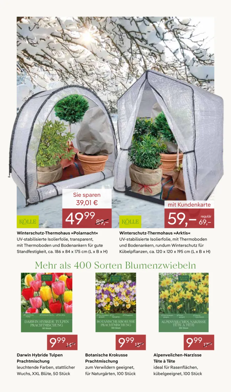 Pflanzen Kölle Prospekt vom 05.10.2026, Seite 11