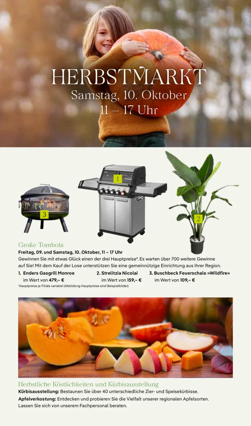 Pflanzen Kölle Prospekt vom 05.10.2026, Seite 8