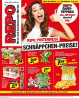 REPO-Markt Prospekt vom 10.03.2025